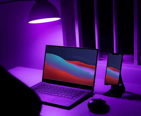 Structure d’un site vitrine professionnel sous WordPress